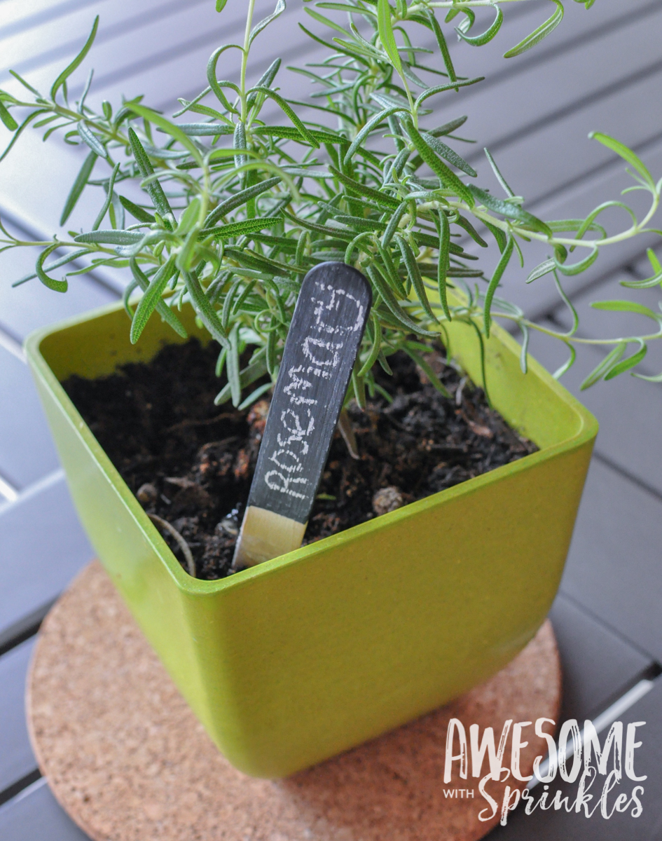 Diy Chalkboard Painted Garden Labels - Awesome With Sprinkles